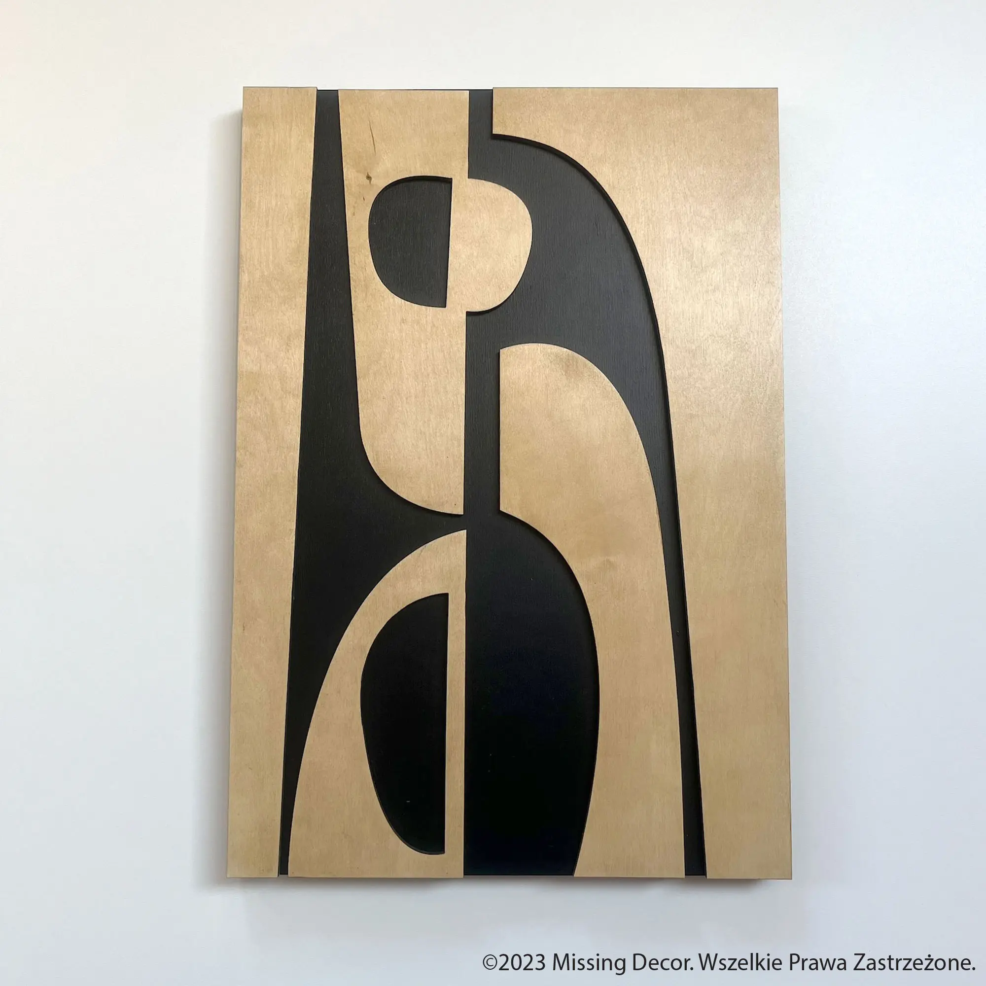 Dekoracja Na Ścianę, Dwuwarstwowy Obraz ABSTRAKCJA 50 x 80cm